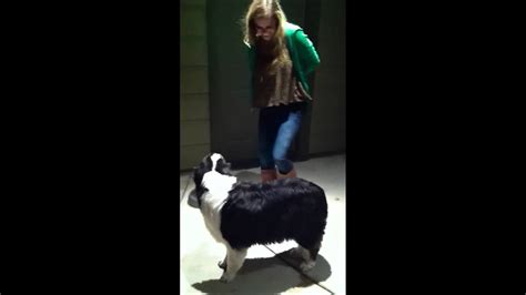 pinay teen finger.com|Dog humps girl compilation 2016 .